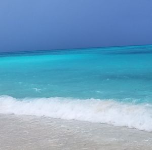 Meet your Posher, Lynn